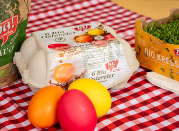 Kizárólag osztrák tojás kerül idén húsvétkor a Billa üzletekbe