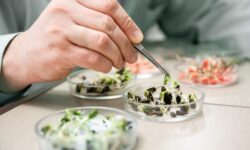 International seed sampling workshop: experts from 15 countries arrive in Hungary