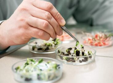 International seed sampling workshop: experts from 15 countries arrive in Hungary