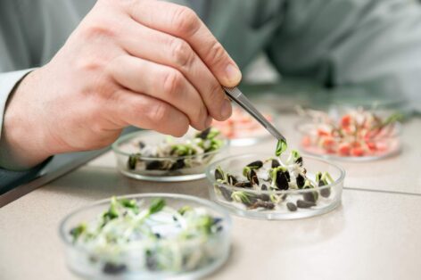 International seed sampling workshop: experts from 15 countries arrive in Hungary