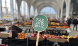 Szabj határt a műanyagnak! – műanyaghulladék csökkentési kampány ZöldÉrt – Zöld Pécsért