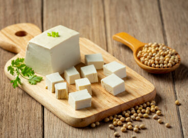 European Tofu Market Expected To Pass $2 Billion By 2034