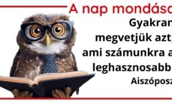 A nap mondása