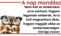 A nap mondása