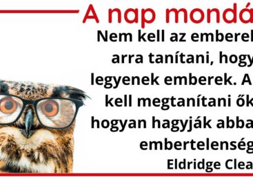 (HU) A nap mondása