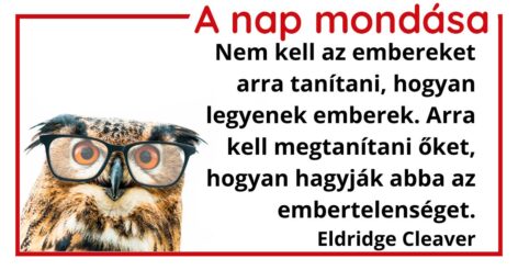 (HU) A nap mondása