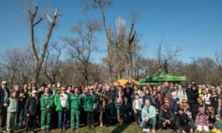 Two hundred thousand trees were planted on National Arbor Day