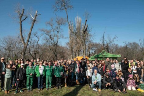 Kétszázezer fát ültettek a Nemzeti Faültetés Napján