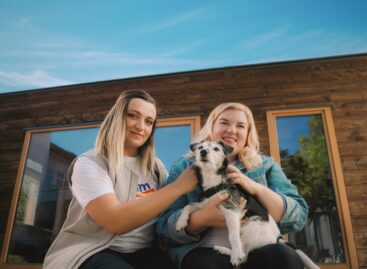 Together for the future: dm supports projects that also offer opportunities for volunteer work with 50 million forints