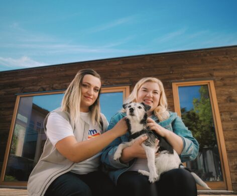 Together for the future: dm supports projects that also offer opportunities for volunteer work with 50 million forints