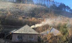 TILIA won the title of Office Building of the Year