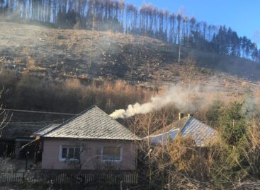 TILIA won the title of Office Building of the Year