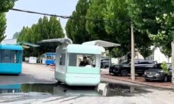 (HU) Szárnyas vendégvadász – A nap videója