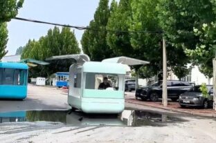 Szárnyas vendégvadász – A nap videója