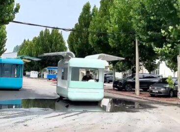 (HU) Szárnyas vendégvadász – A nap videója