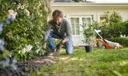 4+1 useful tips for conscious spring gardening