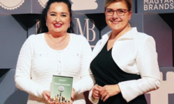 A márka érték: teljesítmény, erőfeszítés, innováció