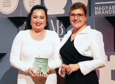 Brand equity: performance, effort and innovation