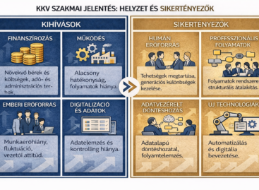 The domestic SME sector is characterized by declining digitalization and weak efficiency