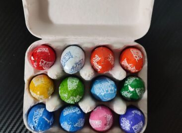 Csokitojástartó – A nap képe