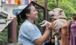 Új kezdeményezés az emberek, a házikedvencek és a bolygó szolgálatában a Marstól