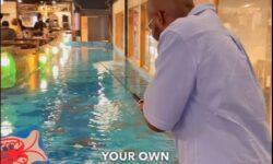 Őrült japán étterem – A nap videója