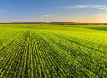 Cereal crops have wintered well, conscious technology is gaining value