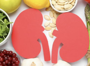 Őrizzük meg a veséink egészségét: mi rontja, mi védi, és mit tehetünk a mindennapokban?