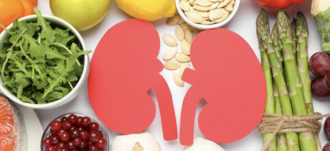 Let’s preserve the health of our kidneys: what damages them, what protects them, and what can we do in our everyday lives?