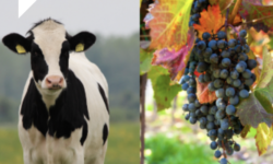 Így telt 2025 a Nébih-nél: megjelent a tavalyi évet összefoglaló kiadvány