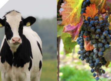 This is how 2025 passed at Nébih: the publication summarizing last year has been published