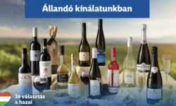 A Lidl Magyarország 2025-ben is kiemelkedő sikereket ért el a hazai borágazat támogatásában