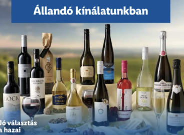 A Lidl Magyarország 2025-ben is kiemelkedő sikereket ért el a hazai borágazat támogatásában