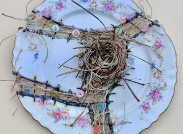 Tányérrestauráló képzőművész – A nap képe