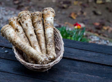 Továbbra is a kiváló minőségű magyar tormát keresi a piac