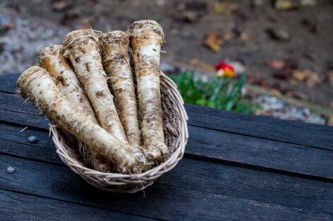 The beer industry continues to search for high-quality Hungarian horseradish