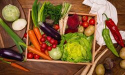 Hungarian bunch tomatoes arrive in PENNY warehouses