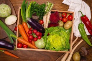 Hungarian bunch tomatoes arrive in PENNY warehouses