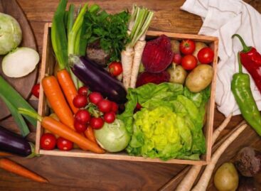 Hungarian bunch tomatoes arrive in PENNY warehouses