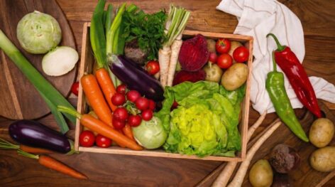 Magyar fürtös paradicsom érkezik a PENNY raktáraiba