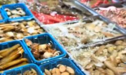 (HU) Tengergyümölcsöskert – A nap videója