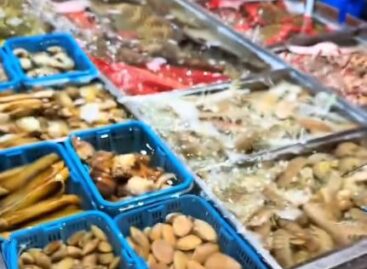 (HU) Tengergyümölcsöskert – A nap videója