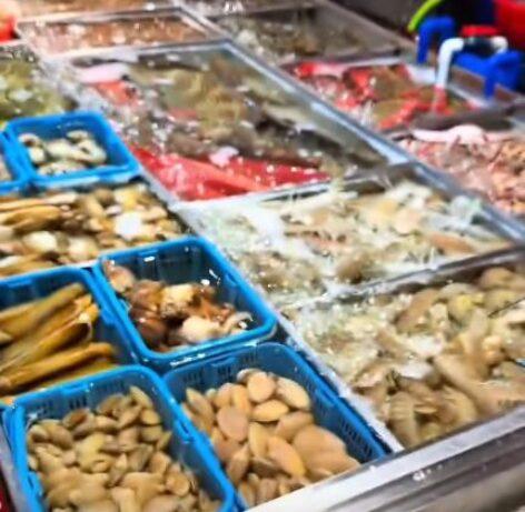 Tengergyümölcsöskert – A nap videója