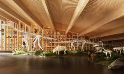 Cannes-ban mutatták be a Debrecenben épülő Természettudományi Múzeum terveit – videón a jövő ikonikus épülete