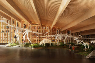 Cannes-ban mutatták be a Debrecenben épülő Természettudományi Múzeum terveit – videón a jövő ikonikus épülete