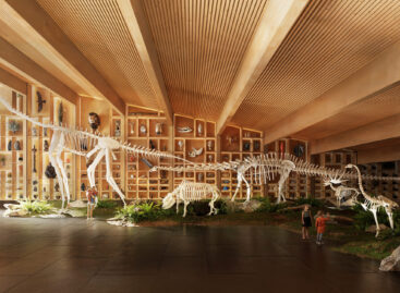 Cannes-ban mutatták be a Debrecenben épülő Természettudományi Múzeum terveit – videón a jövő ikonikus épülete