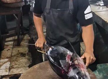 (HU) Így tisztítsd a tonhaladat – A nap videója