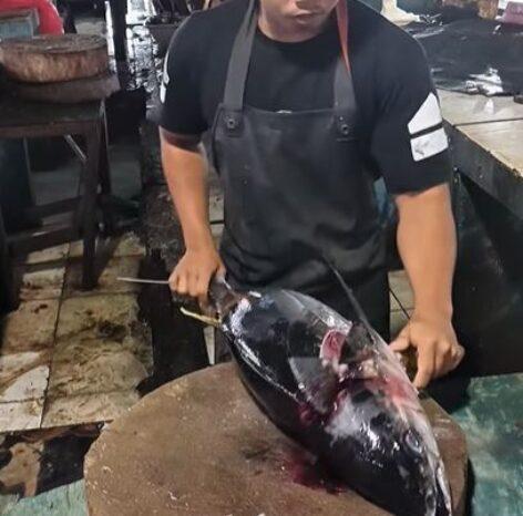 Így tisztítsd a tonhaladat – A nap videója