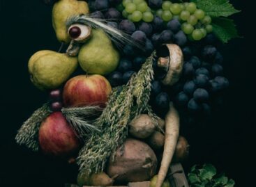 (HU) A vegák szebben mosolyognak (ennél) – A nap képe