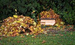 A sünök védelmére hívja fel a figyelmet a tavaszi kerti munkák idején az MME